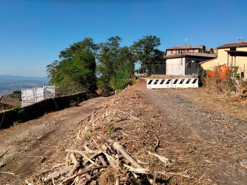 pulizia_san_Lazzaro_web
