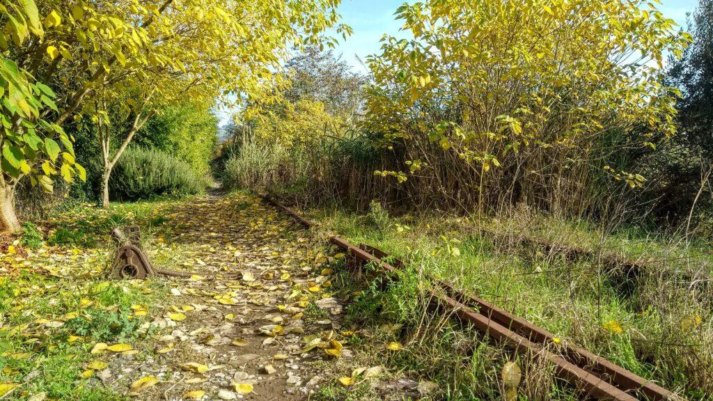 953b58_f251bca04b7d403e873534380015b15b~mv2